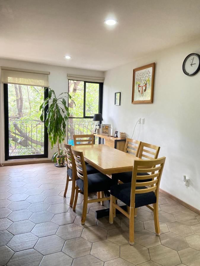 Apartment With Terrace Down Town מקסיקו סיטי מראה חיצוני תמונה